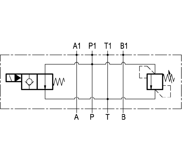 R930066296
